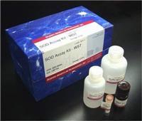 膜粘連蛋白 I抗體_供應產品_上海泛軻實業